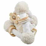 WEBHIDDENBRAND Bigjigs Baby Dreamy Doggy Rattle Pyramid