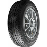 Cooper zimska pnevmatika 225/50R17 Discoverer Winter, XL 98V