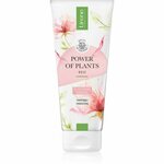 Lirene Power of Plants Rose čistilni gel z vlažilnim učinkom 175 ml