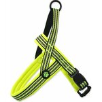 Postroj Active Dog Neopren S limetka 1,5x45-55cm