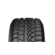 Petlas Snow Master W651 ( 195/55 R15 85H )