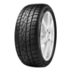 Delinte AW5 ( 195/65 R15 91H )