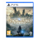 Warner Bros Hogwarts Legacy igra (PS5)