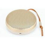 Bang &amp; Olufsen Beosound A1 brezžični zvočnik, 2. generacija, Bluetooth, zlat (Gold Tone)