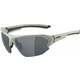 Alpina Lyron HR Cool/Grey Matt/Black