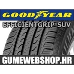 Goodyear letna pnevmatika EfficientGrip XL SUV 255/65R17 114H
