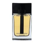 Christian Dior Dior Homme Intense 2011 parfumska voda 100 ml za moške