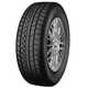 Petlas guma Snow Master W651 TL 185/55R16 87H XL E