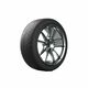 Michelin zimska pnevmatika 255/55R18 Pilot Alpin 109V