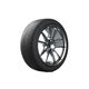 Michelin zimska pnevmatika 275/40R21 Pilot Alpin 107V