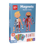 APLI KIDS komplet magneti človeško telo API18531