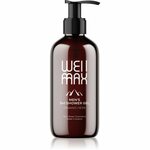 WellMax Men's Shower Gel 3in1 gel za prhanje za moške 3v1 250 ml