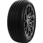 Delinte DS2 ( 205/55 R17 95W XL )