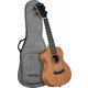 Cascha Concert Ukulele Mahogany Solid Koncertne ukulele Natural