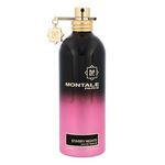 Montale Paris Starry Night parfumska voda 100 ml unisex