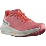 Salomon Spectur W Rose/Lunar Rock/Poppy Red 38 2/3 Cestna tekaška obutev