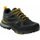 Jack Wolfskin Čevlji treking čevlji črna 43 EU Force Striker Texapore Low