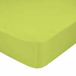 Zelena elastična rjuha iz čistega bombaža Happy Friday Basic, 90 x 200 cm