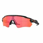 Oakley Radar Ev Path PRIZM OO9208 9208E4 38