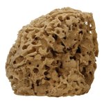 "Cose della Natura Honeycomb-naravna spužva - Medium, 8-10 g"