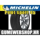 Michelin letna pnevmatika Pilot Sport 4, XL 305/30R20 103Y
