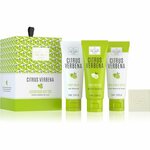 Scottish Fine Soap Darilni set za nego telesa Citrus Verbena (Luxurious Gift Set)