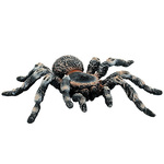 Bullyland Tarantula bela