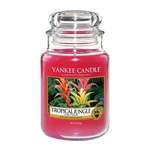 WEBHIDDENBRAND Sveča v steklenem kozarcu Yankee Candle, Tropska džungla, 623 g