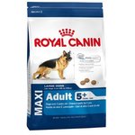 Royal Canin hrana za odrasle pse velikih pasem starejše od 5 let, 15 kg