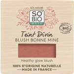 "SO’BiO étic Teint Divin Rouge - 01 Bois de rose"