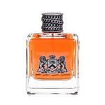 Juicy Couture Dirty English For Men toaletna voda 100 ml za moške