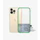 PanzerGlass ClearCaseColor ovitek za Apple iPhone 13 Pro Max, prozorno-zelen (0344)